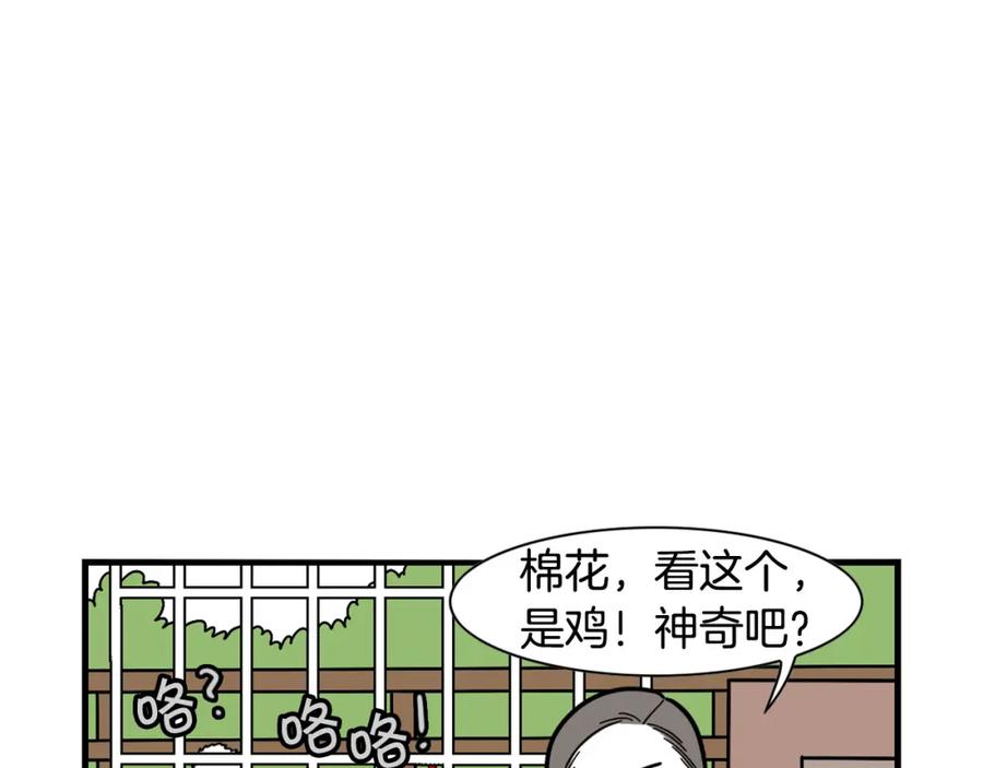 第31话养鸡之旅-我的狗子叫棉花-milo+Polarfox（第8张）
