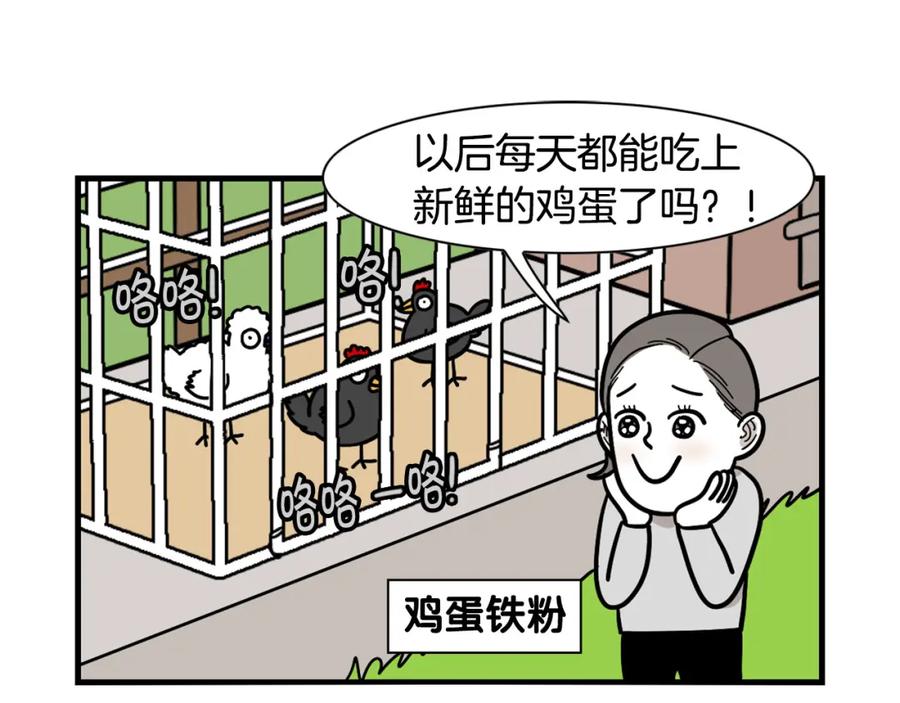 第31话养鸡之旅-我的狗子叫棉花-milo+Polarfox（第7张）