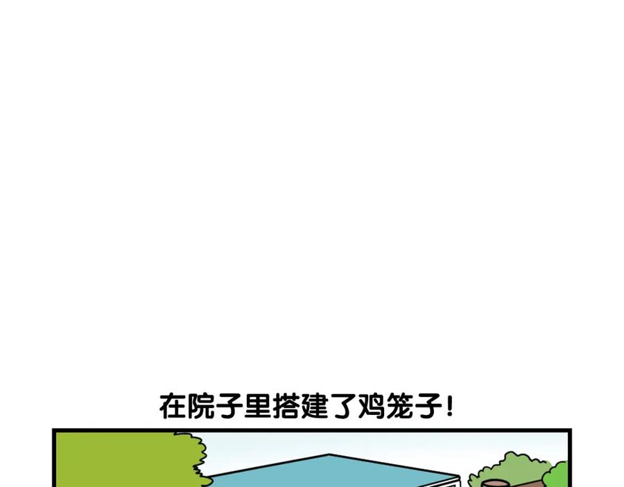 第31话养鸡之旅-我的狗子叫棉花-milo+Polarfox（第4张）