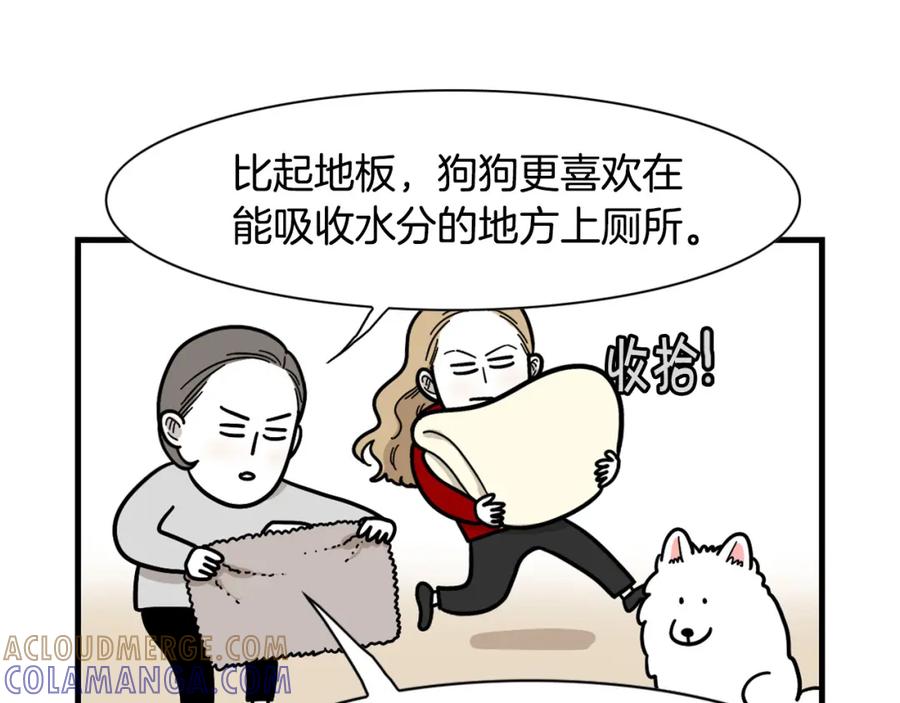 第33话训练上厕所-我的狗子叫棉花-milo+Polarfox（第12张）