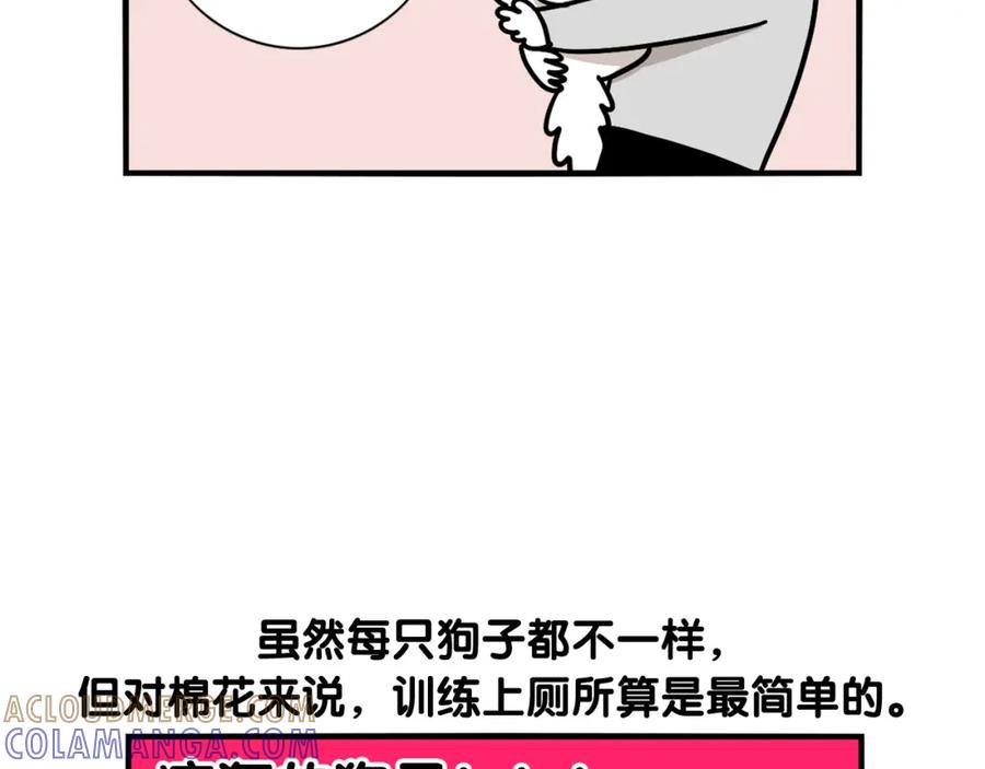 第33话训练上厕所-我的狗子叫棉花-milo+Polarfox（第9张）