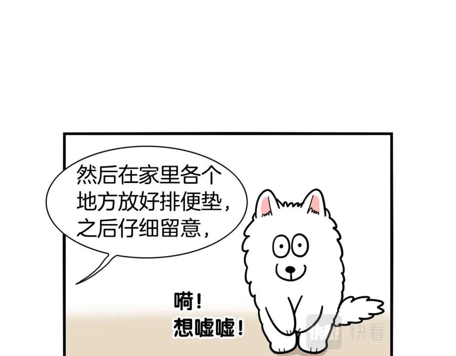 第33话训练上厕所-我的狗子叫棉花-milo+Polarfox（第14张）