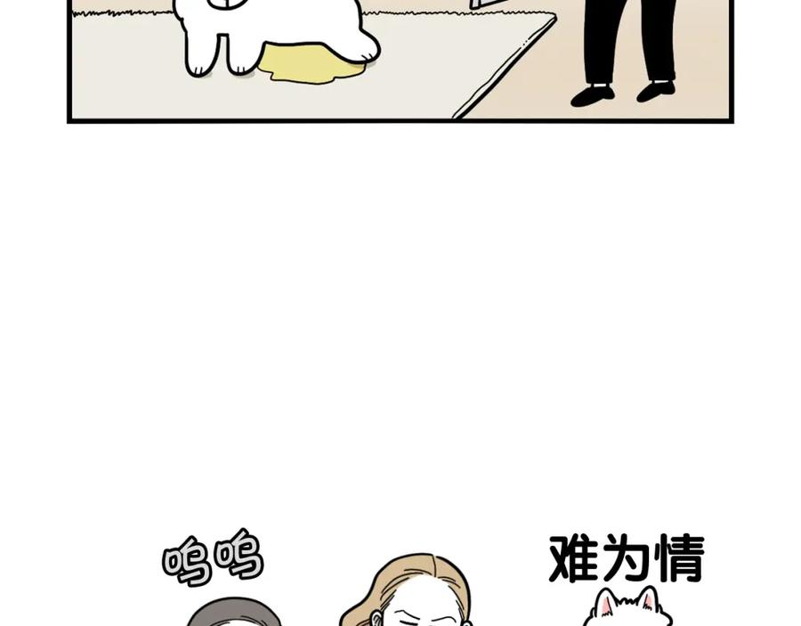 第33话训练上厕所-我的狗子叫棉花-milo+Polarfox（第5张）