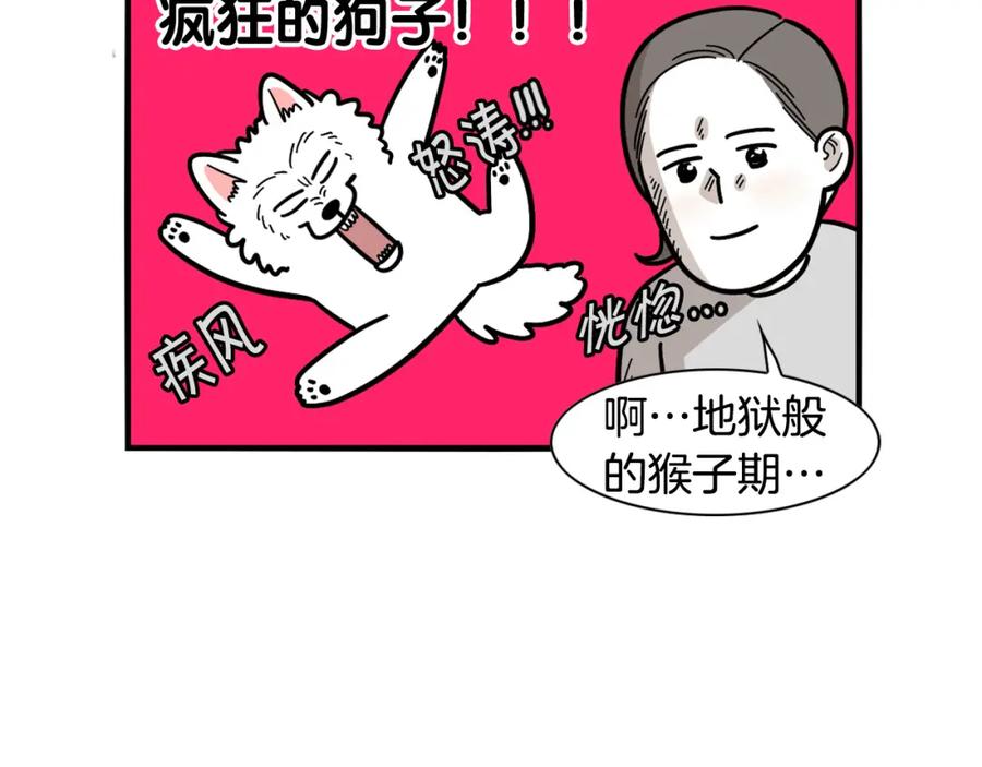 第33话训练上厕所-我的狗子叫棉花-milo+Polarfox（第10张）
