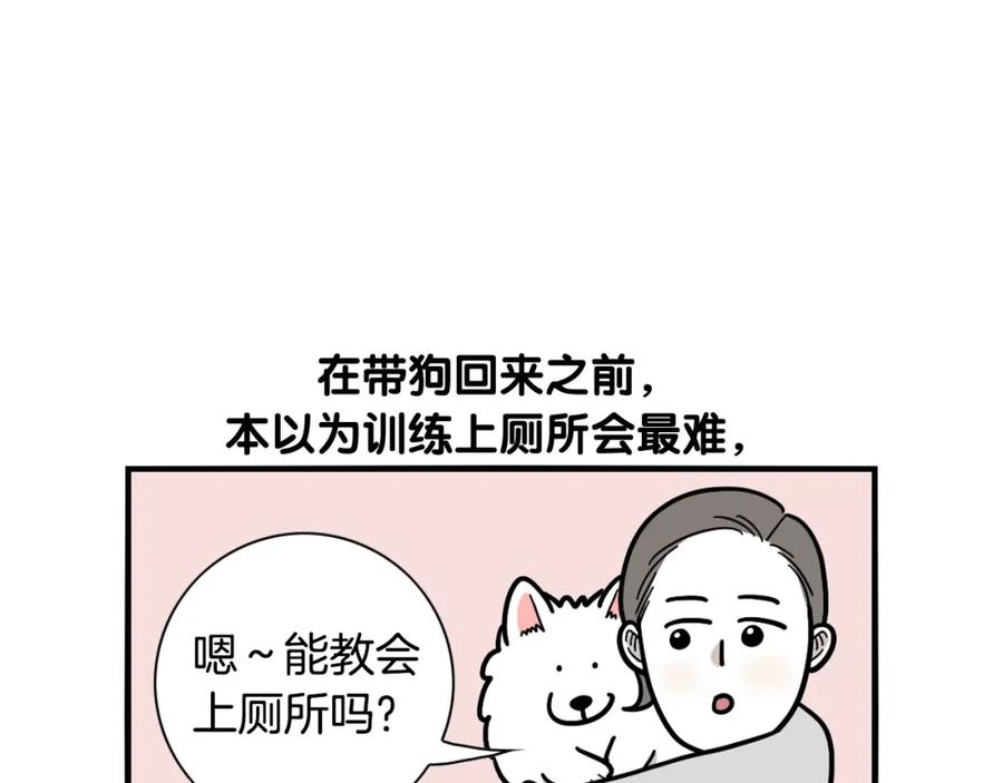 第33话训练上厕所-我的狗子叫棉花-milo+Polarfox（第8张）