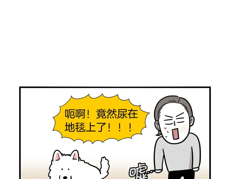 第33话训练上厕所-我的狗子叫棉花-milo+Polarfox（第4张）