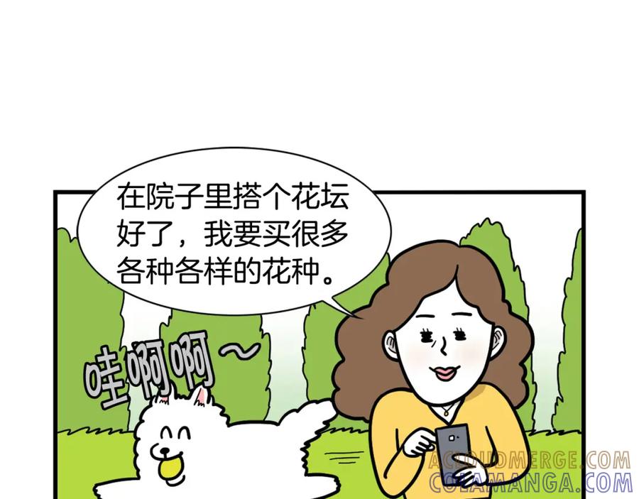 第35话捣蛋大王-我的狗子叫棉花-milo+Polarfox（第4张）