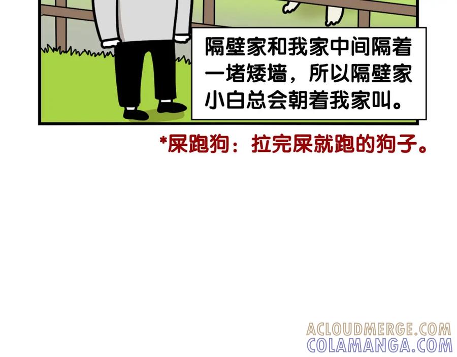 第36话其他狗狗-我的狗子叫棉花-milo+Polarfox（第6张）