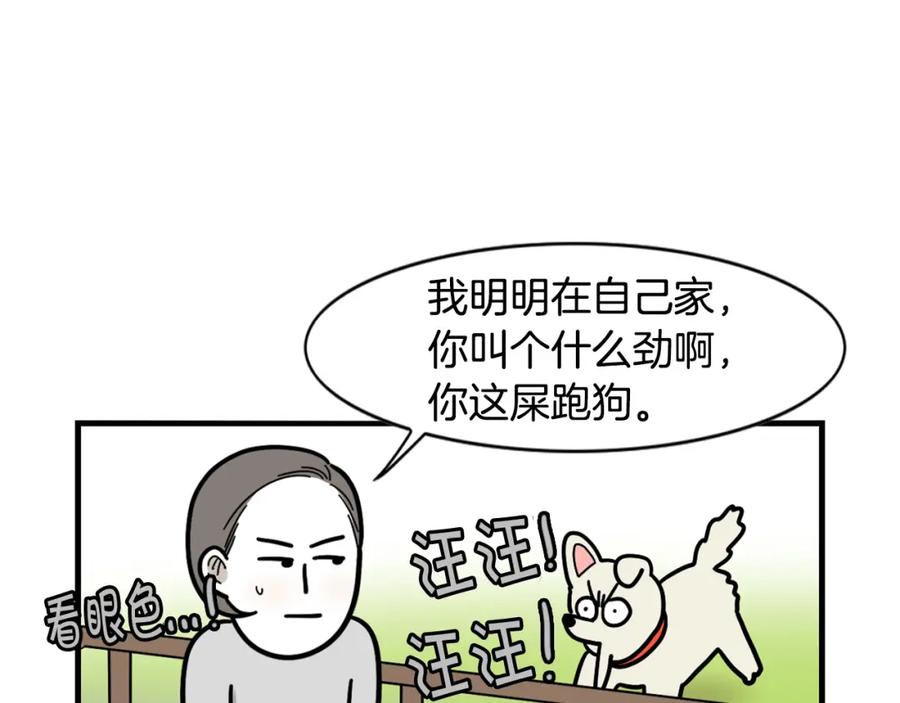 第36话其他狗狗-我的狗子叫棉花-milo+Polarfox（第5张）