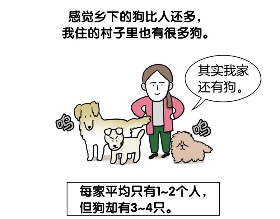 第36话其他狗狗-我的狗子叫棉花-milo+Polarfox（第7张）