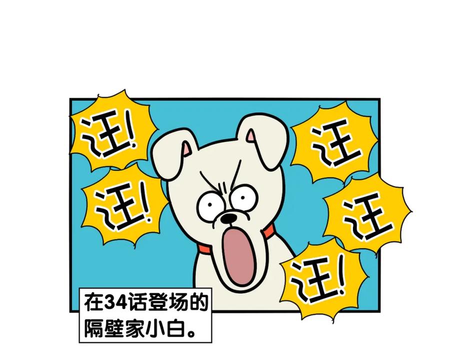 第36话其他狗狗-我的狗子叫棉花-milo+Polarfox（第4张）