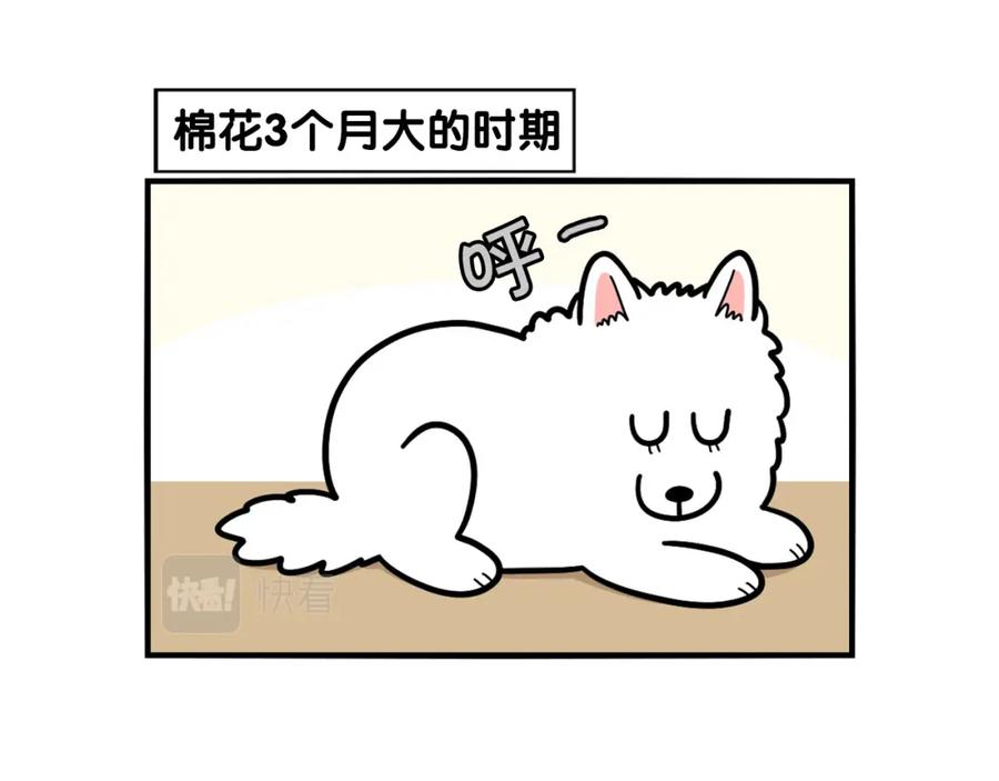 第37话放屁狗狗-我的狗子叫棉花-milo+Polarfox（第4张）