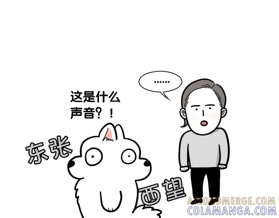 第37话放屁狗狗-我的狗子叫棉花-milo+Polarfox（第6张）