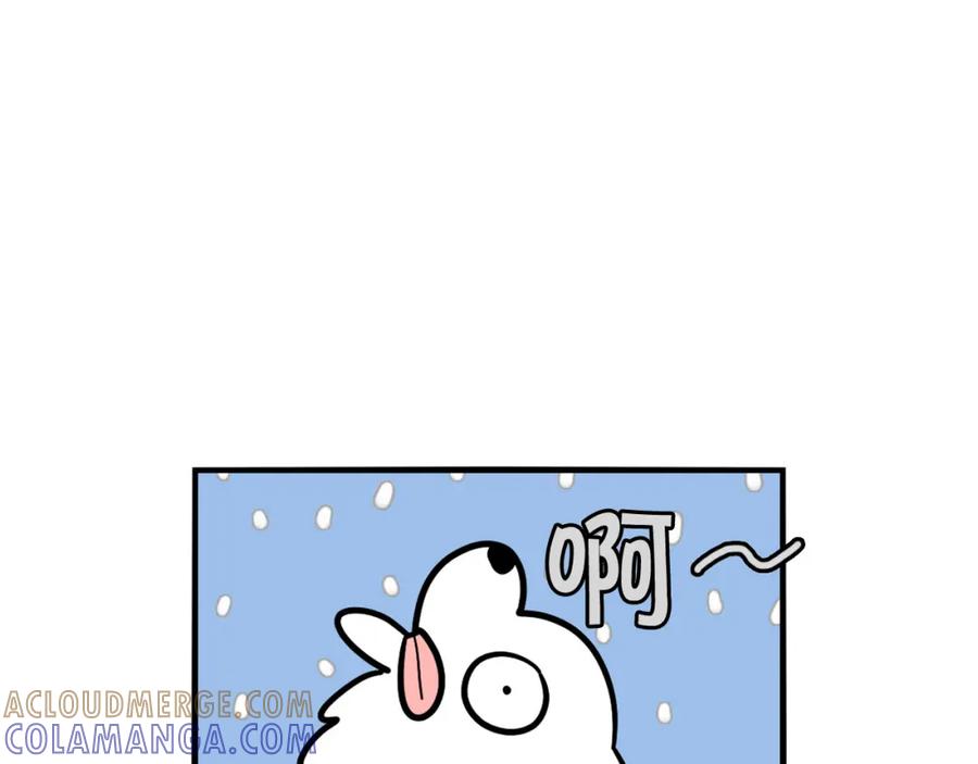 第38话不怕冷-我的狗子叫棉花-milo+Polarfox（第9张）