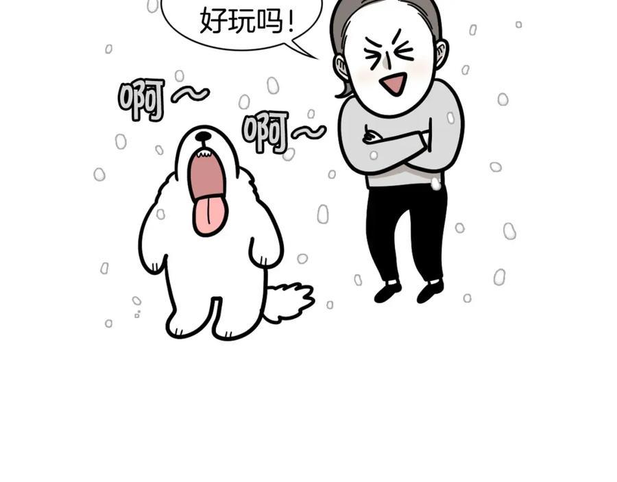 第38话不怕冷-我的狗子叫棉花-milo+Polarfox（第11张）