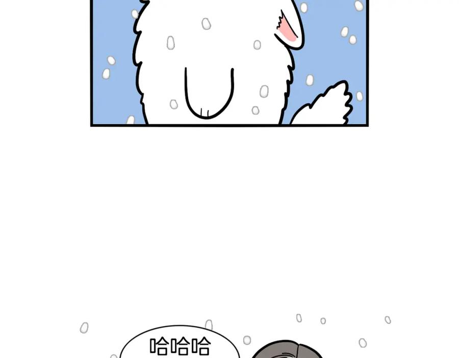 第38话不怕冷-我的狗子叫棉花-milo+Polarfox（第10张）
