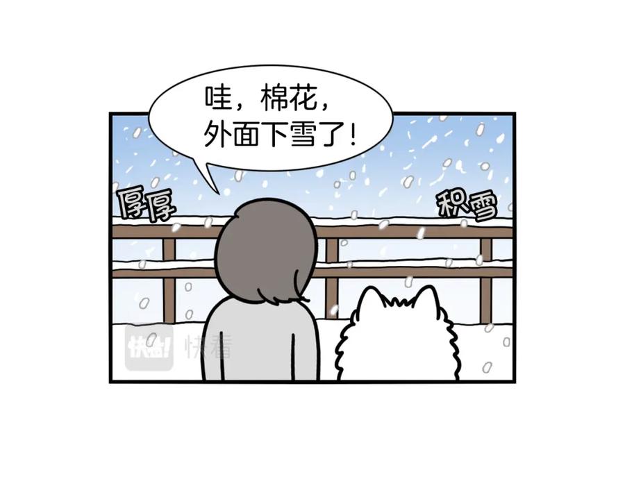 第38话不怕冷-我的狗子叫棉花-milo+Polarfox（第4张）
