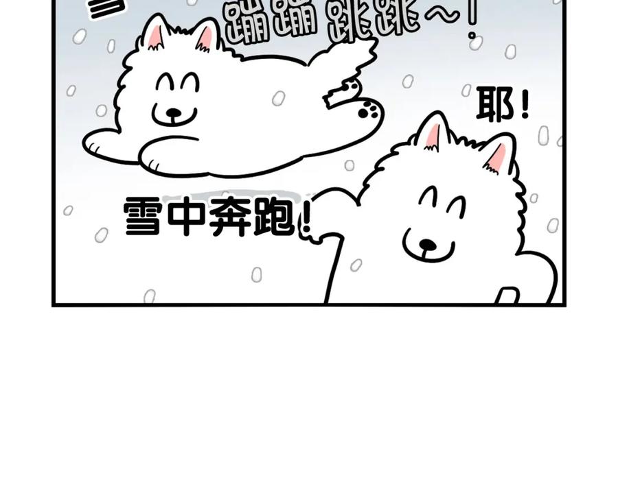 第38话不怕冷-我的狗子叫棉花-milo+Polarfox（第7张）
