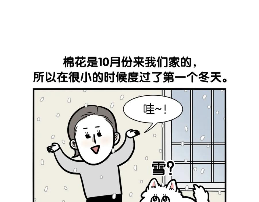 第38话不怕冷-我的狗子叫棉花-milo+Polarfox（第5张）