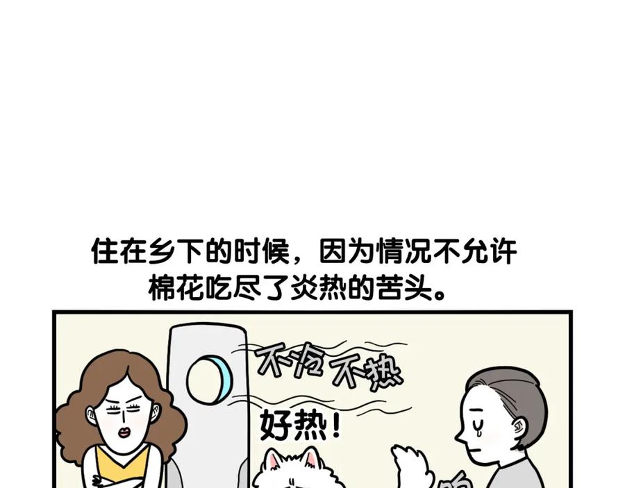 第39话剃毛方案-我的狗子叫棉花-milo+Polarfox（第5张）