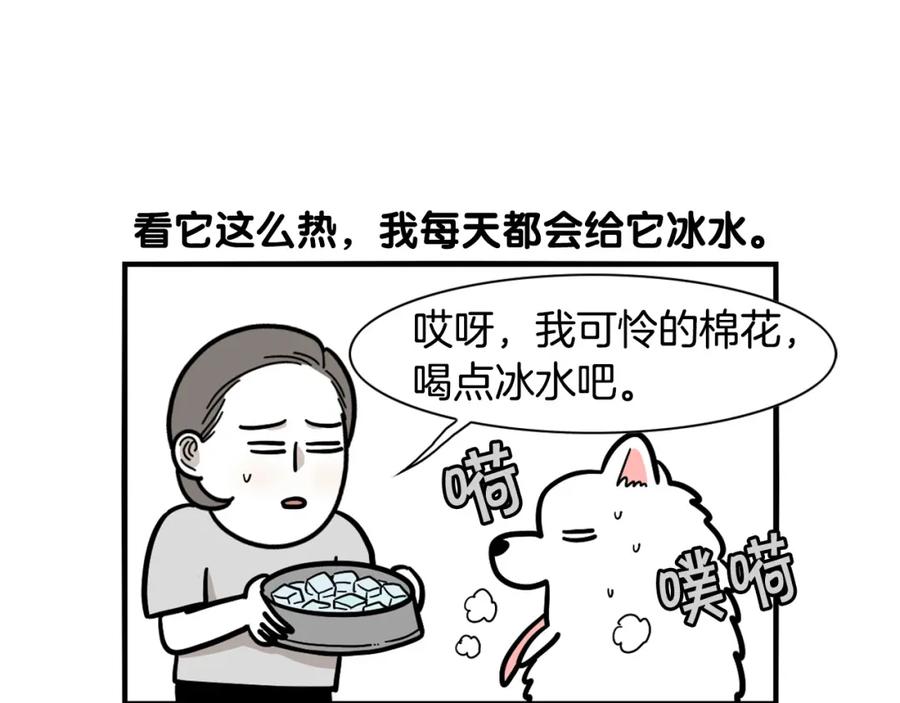 第39话剃毛方案-我的狗子叫棉花-milo+Polarfox（第8张）