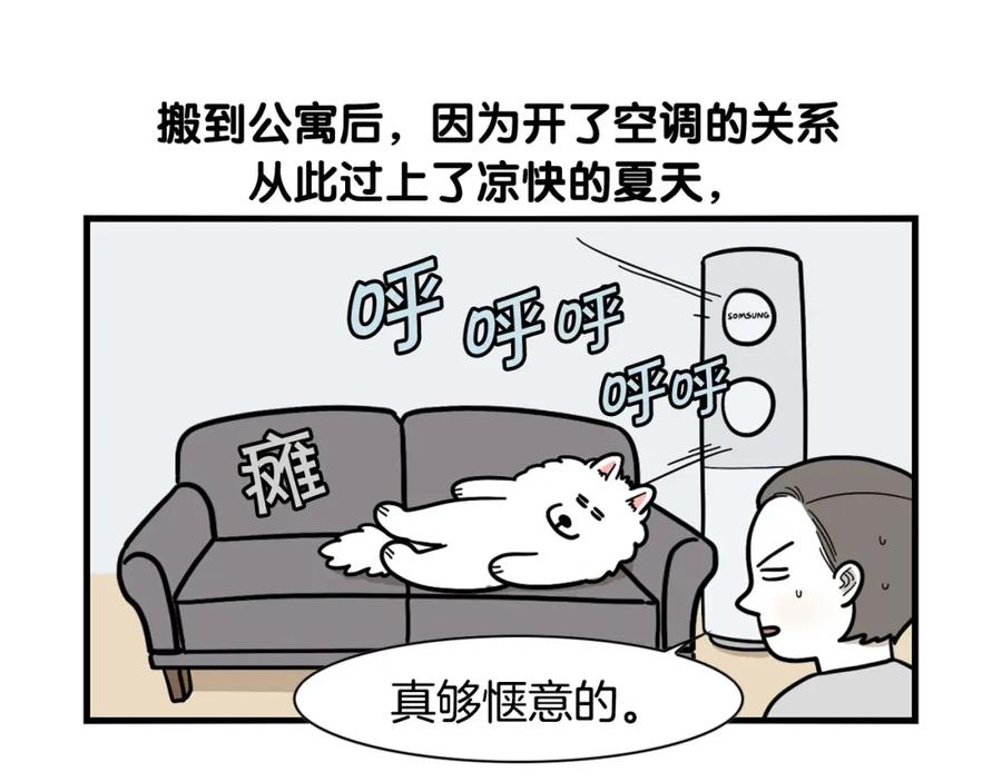 第39话剃毛方案-我的狗子叫棉花-milo+Polarfox（第4张）