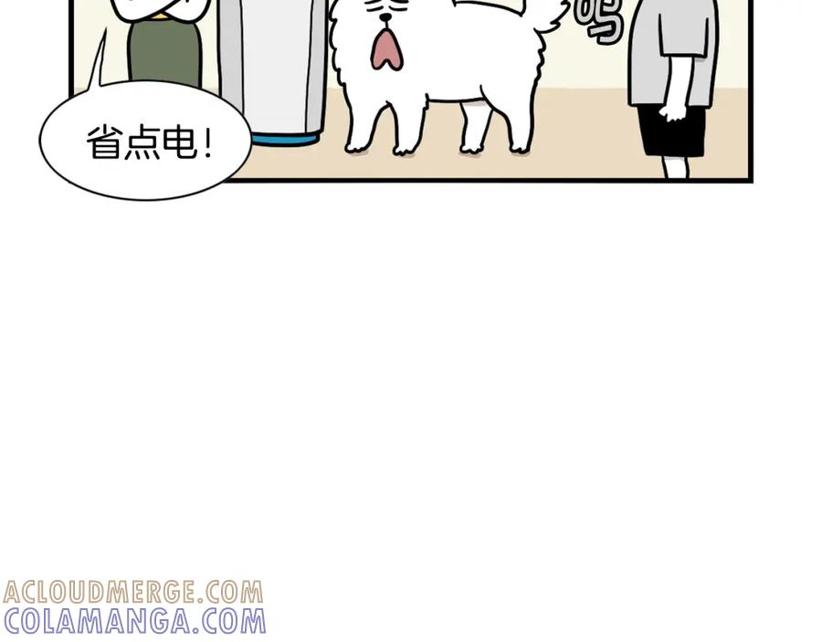 第39话剃毛方案-我的狗子叫棉花-milo+Polarfox（第6张）