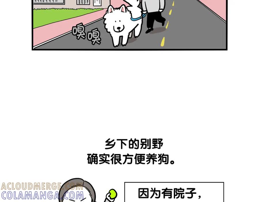 第40话如何防止狗叫？-我的狗子叫棉花-milo+Polarfox（第6张）