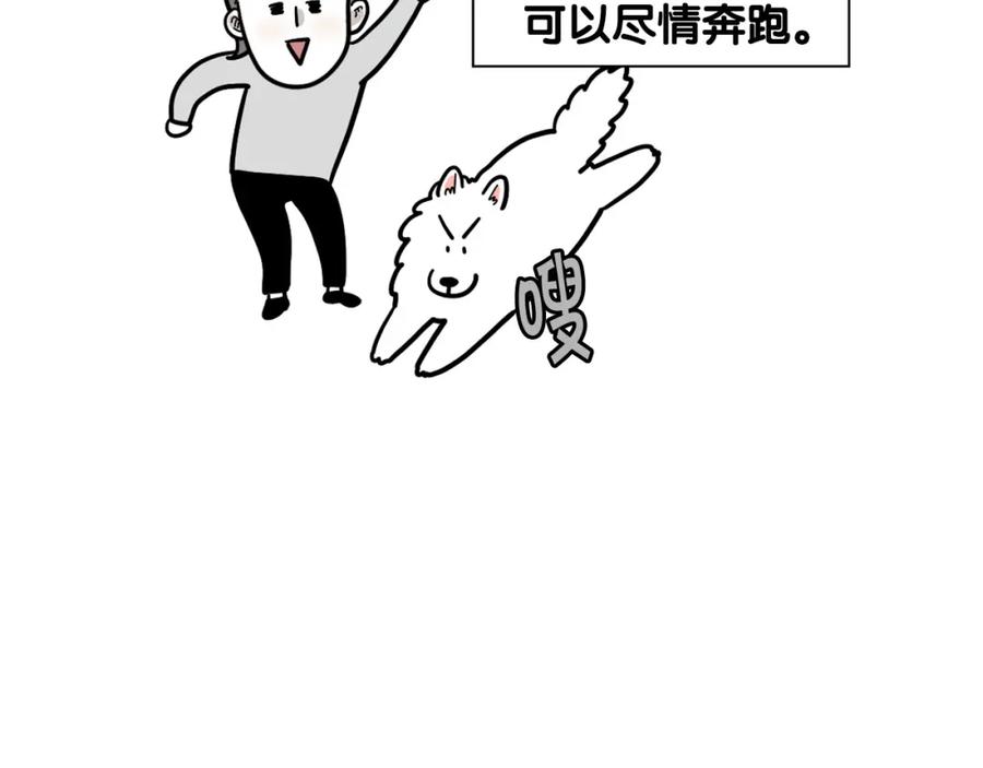 第40话如何防止狗叫？-我的狗子叫棉花-milo+Polarfox（第7张）