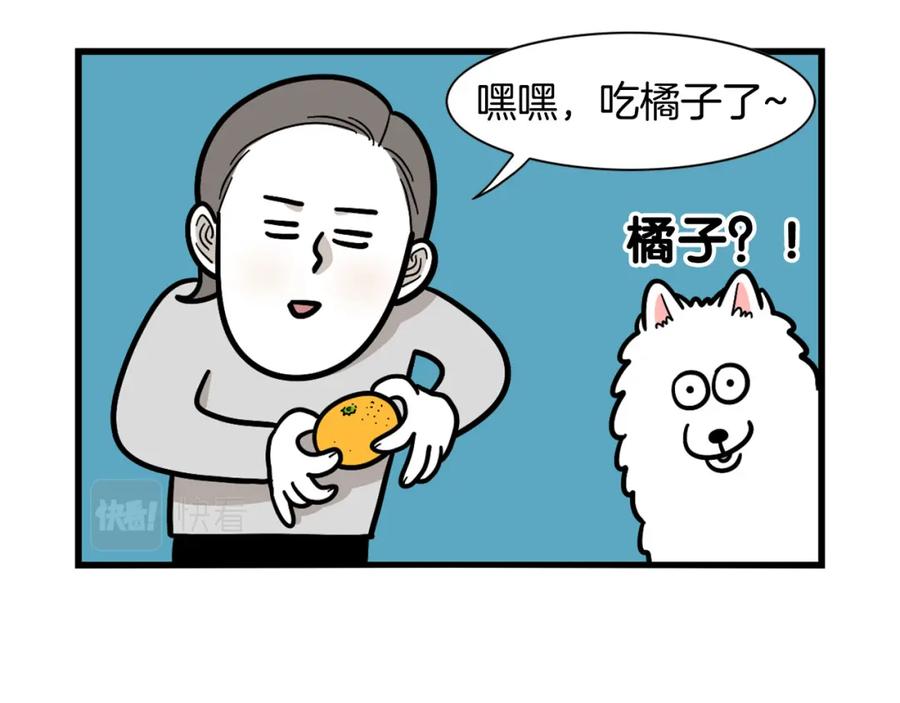 第41话抢吃第一名！-我的狗子叫棉花-milo+Polarfox（第8张）