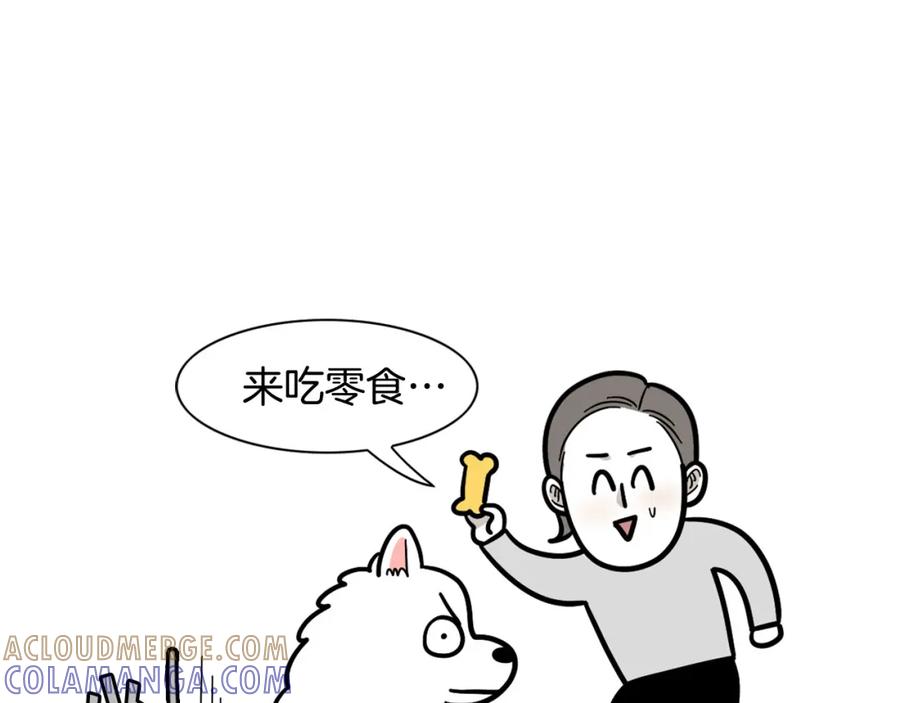 第41话抢吃第一名！-我的狗子叫棉花-milo+Polarfox（第6张）