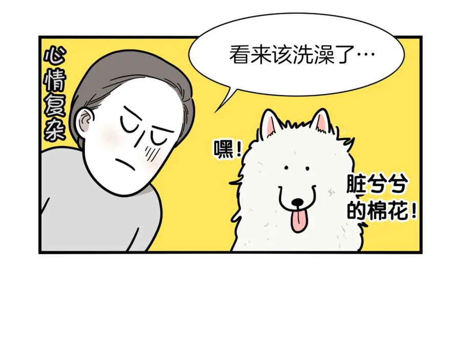 第6话洗澡澡-我的狗子叫棉花-milo+Polarfox（第10张）