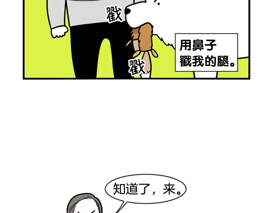 第7话拆家大魔王-我的狗子叫棉花-milo+Polarfox（第11张）