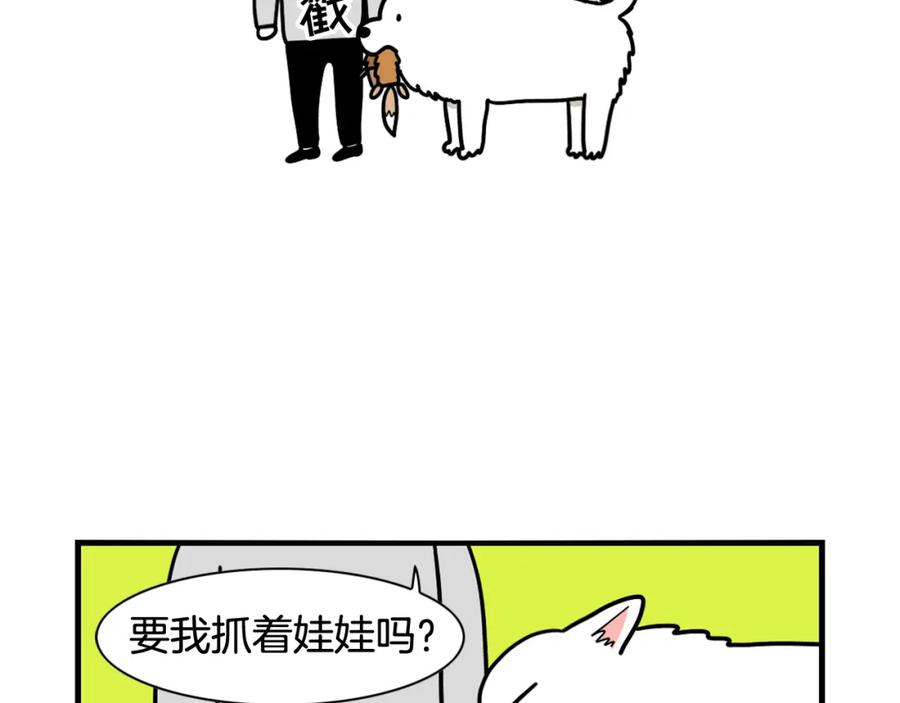 第7话拆家大魔王-我的狗子叫棉花-milo+Polarfox（第10张）