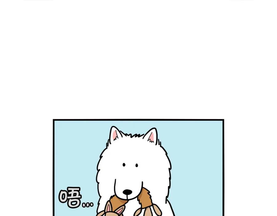 第7话拆家大魔王-我的狗子叫棉花-milo+Polarfox（第8张）