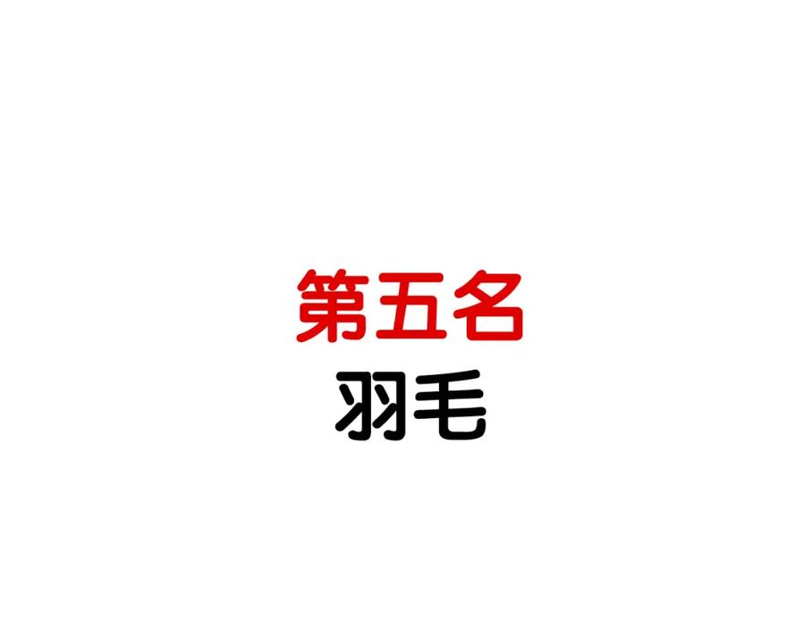 第8话大狗也胆小？-我的狗子叫棉花-milo+Polarfox（第10张）