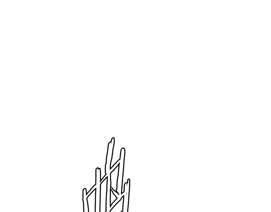 224.jpg
