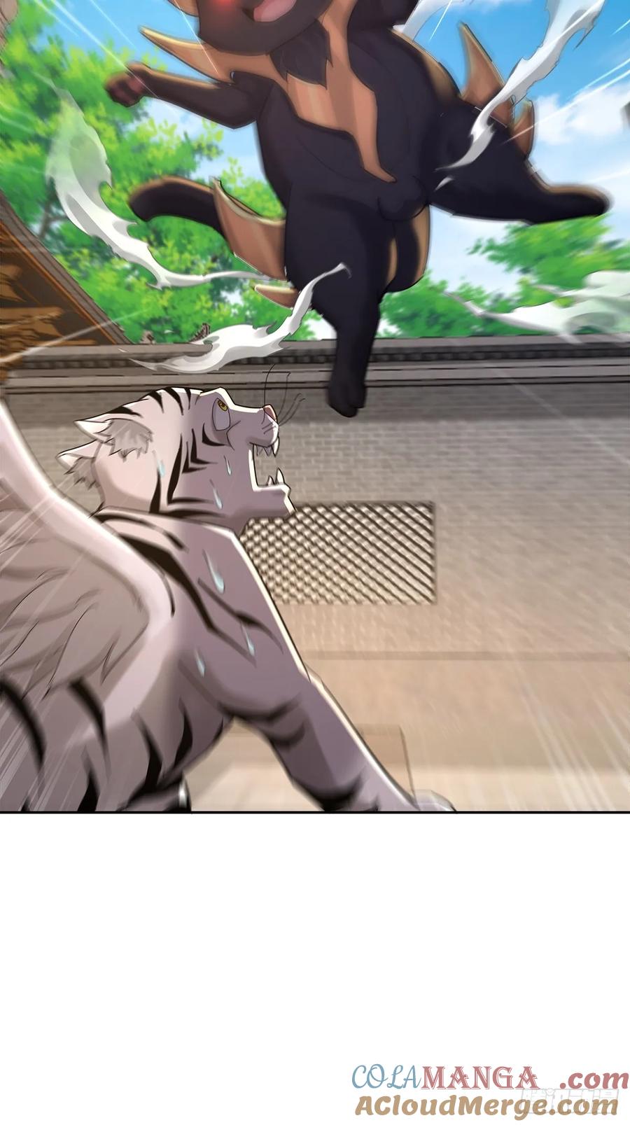 33.jpg