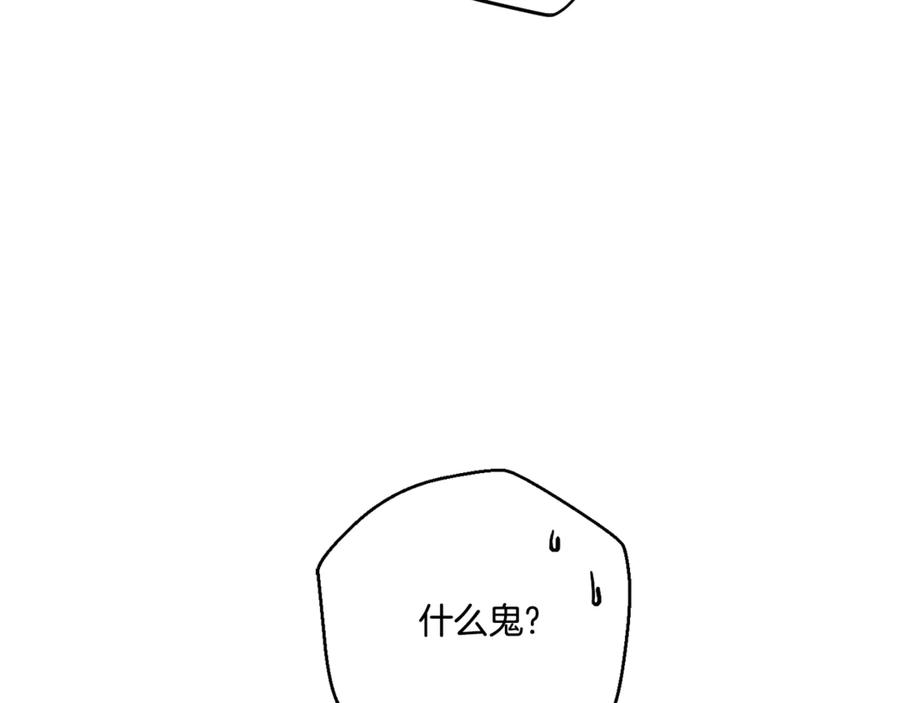 156.jpg