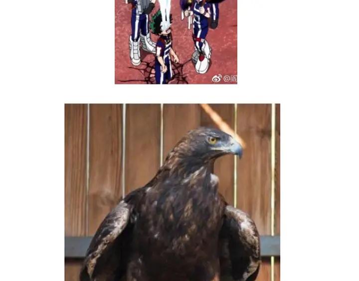 72.jpg