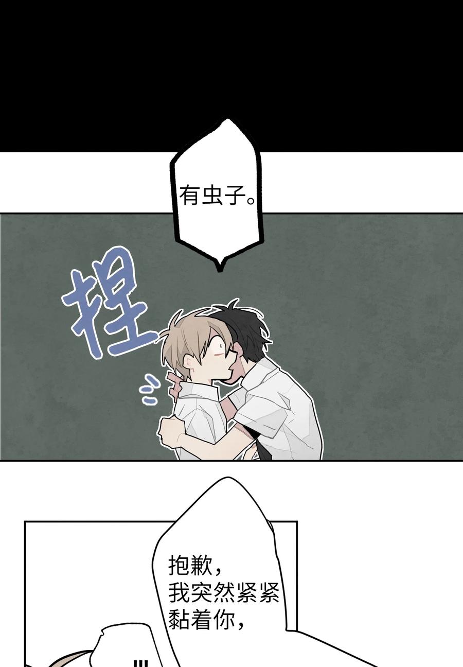 26.jpg