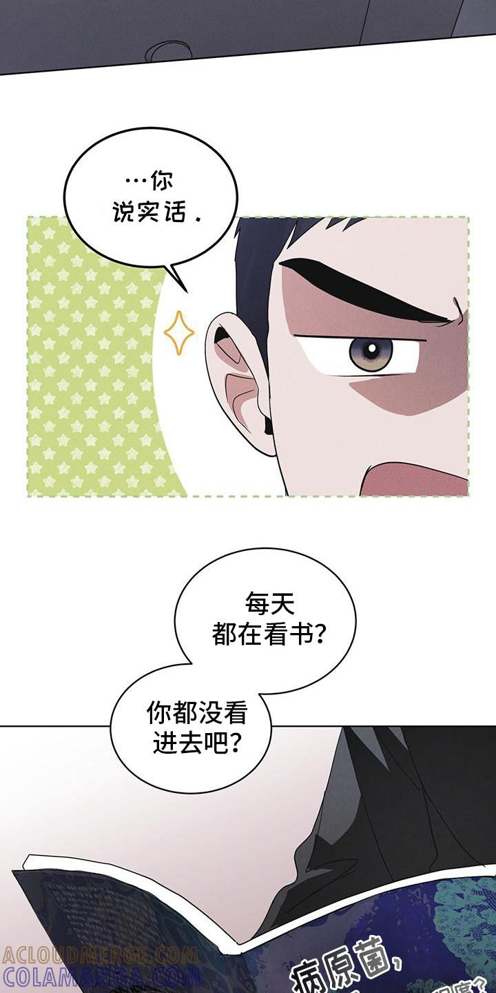 第100章：【第二季】今天算了-彩虹城-Pnaiuenm（第21张）