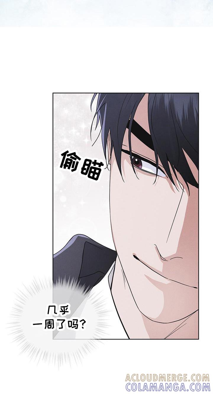 第104章：【第二季】如您所愿-彩虹城-Pnaiuenm（第13张）