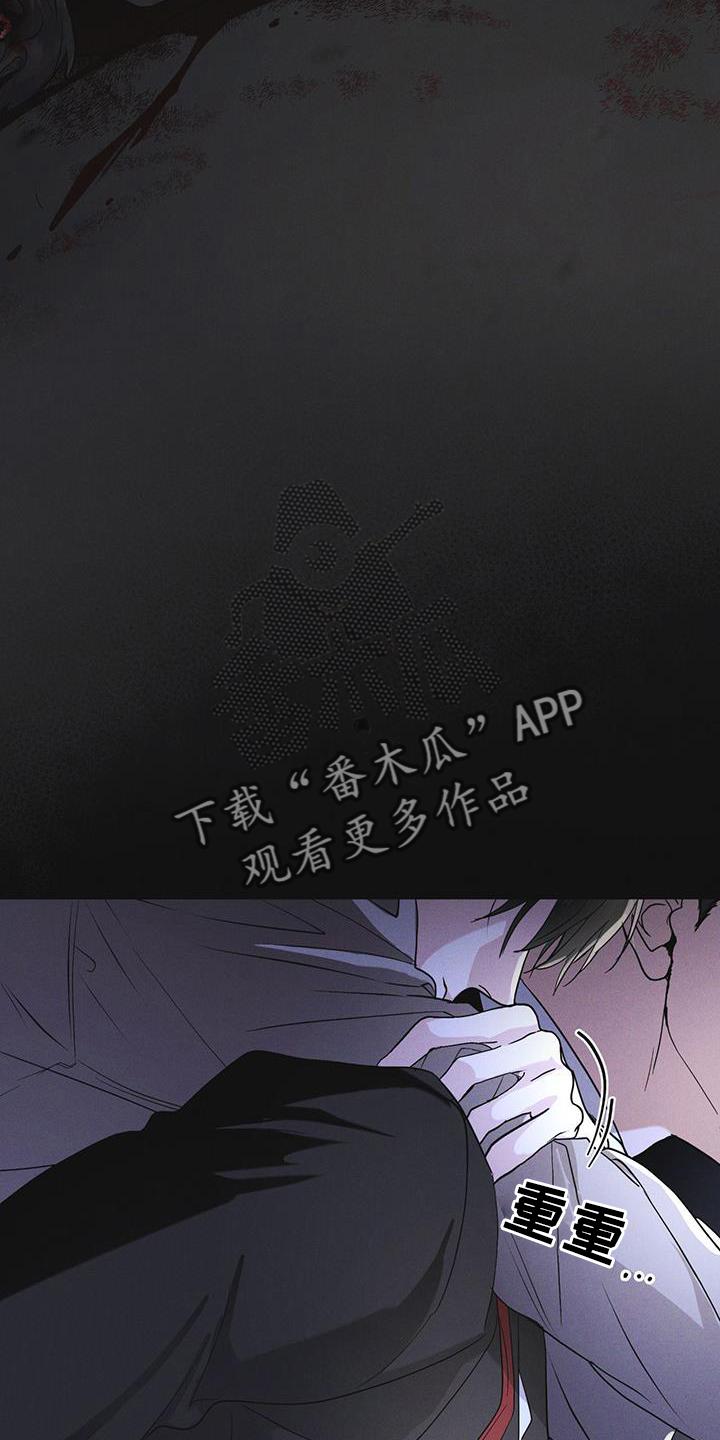 第55章：道歉-彩虹城-Pnaiuenm（第18张）