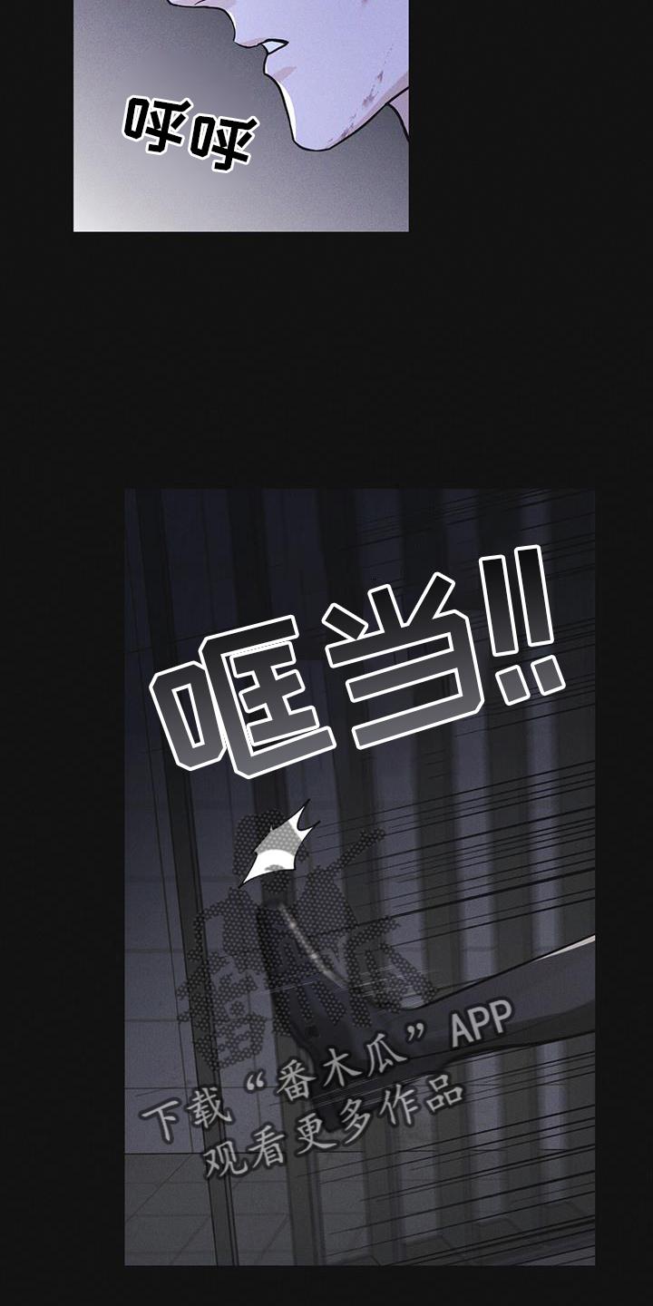 第55章：道歉-彩虹城-Pnaiuenm（第4张）