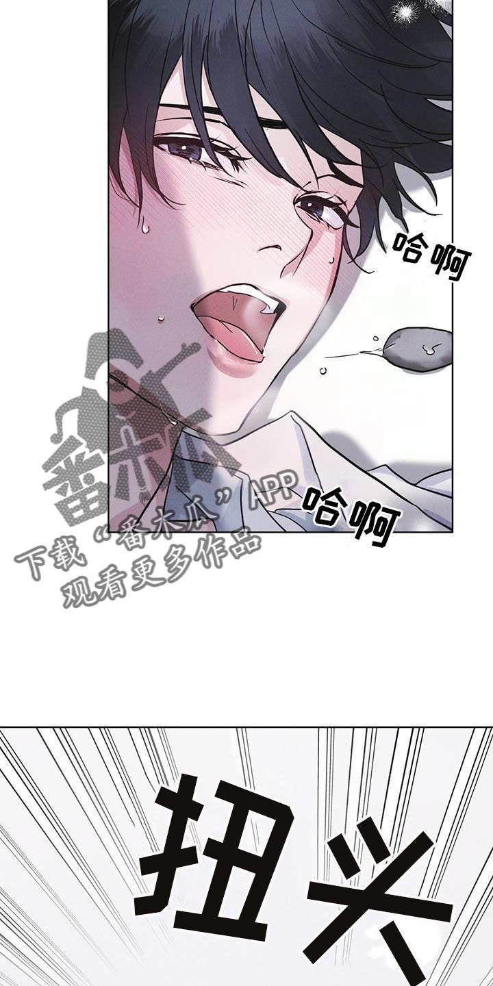 第65章：查询-彩虹城-Pnaiuenm（第18张）