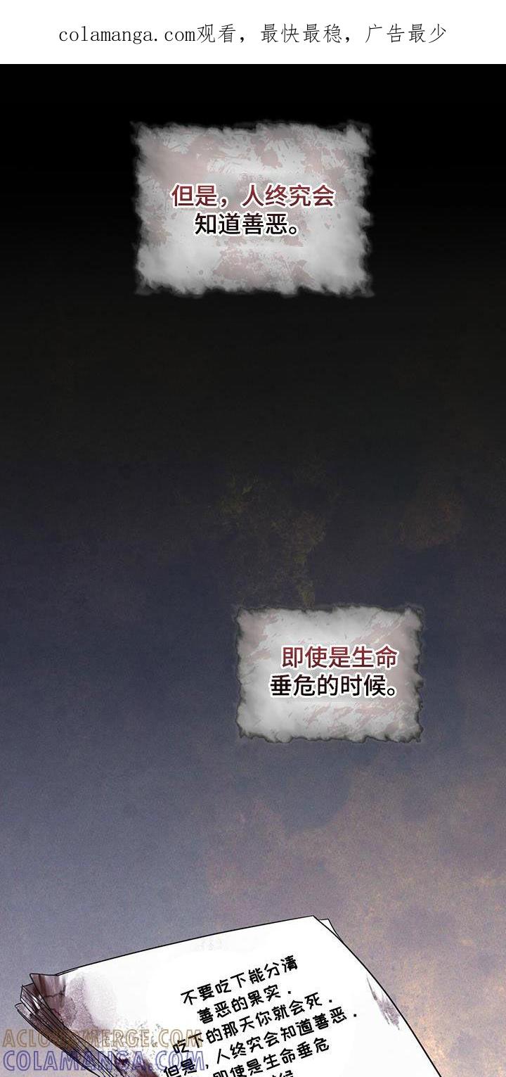 第75章：【第二季】会议-彩虹城-Pnaiuenm（第1张）