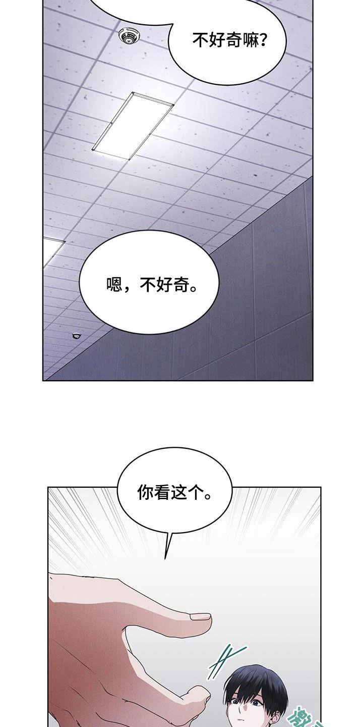 第76章：【第二季】屋顶-彩虹城-Pnaiuenm（第6张）