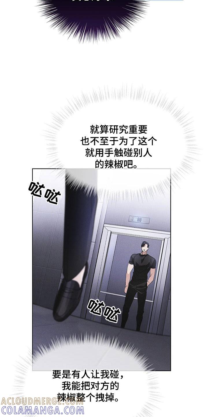 第82章：【第二季】真期待-彩虹城-Pnaiuenm（第25张）