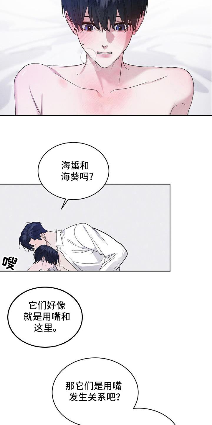 第98章：【第二季】原来走了-彩虹城-Pnaiuenm（第6张）